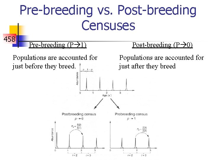 Pre-breeding vs. Post-breeding Censuses 458 Pre-breeding (P 1) Populations are accounted for just before