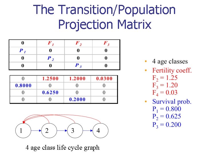 The Transition/Population Projection Matrix 458 4 age class life cycle graph 