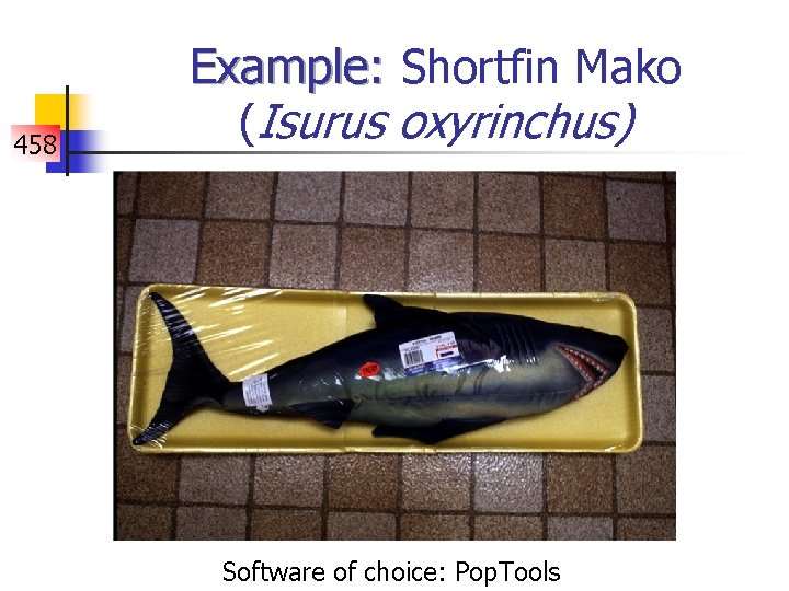 458 Example: Shortfin Mako (Isurus oxyrinchus) Software of choice: Pop. Tools 