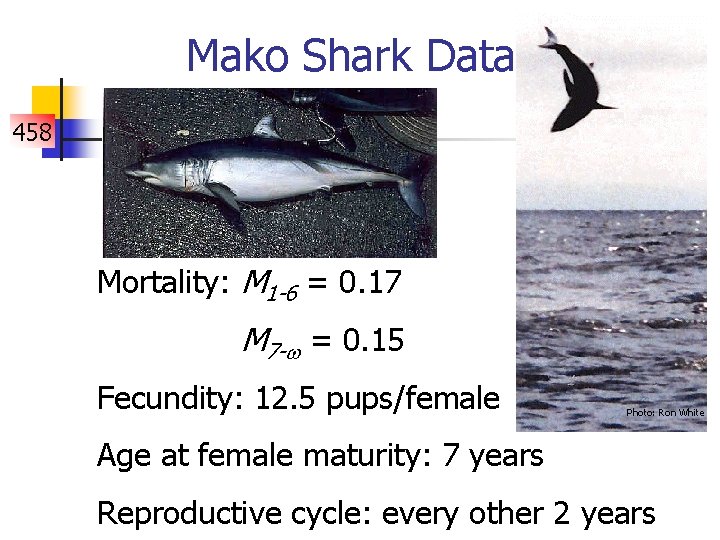 Mako Shark Data 458 Mortality: M 1 -6 = 0. 17 M 7 -w