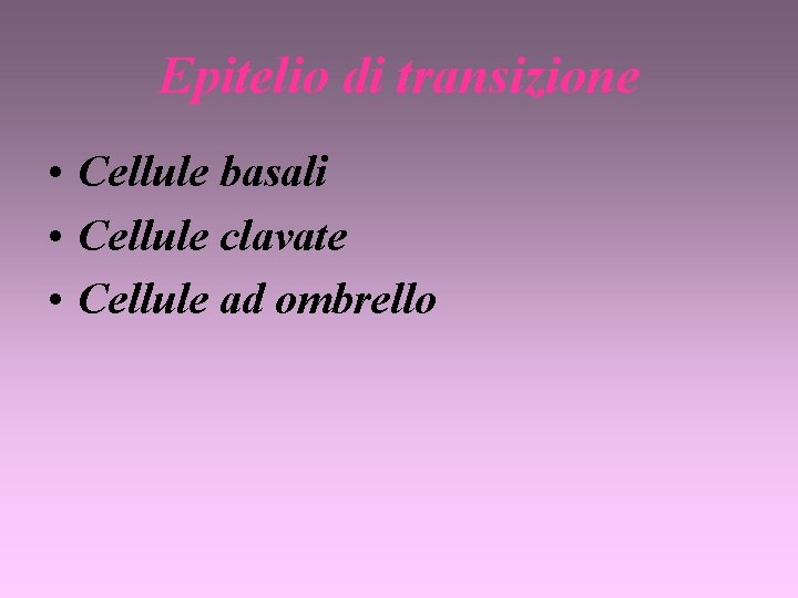 Epitelio di transizione • Cellule basali • Cellule clavate • Cellule ad ombrello 