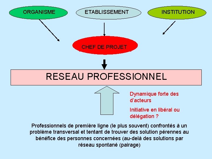 ORGANISME ETABLISSEMENT INSTITUTION CHEF DE PROJET RESEAU PROFESSIONNEL Dynamique forte des d’acteurs Initiative en