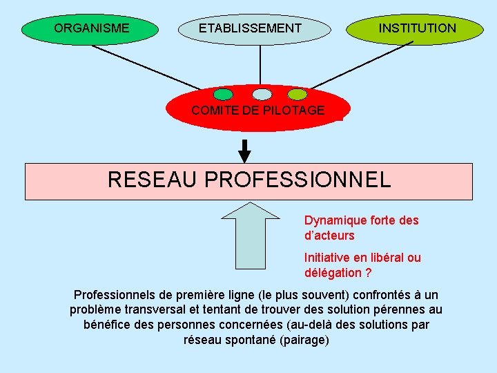 ORGANISME ETABLISSEMENT INSTITUTION COMITE DE PILOTAGE RESEAU PROFESSIONNEL Dynamique forte des d’acteurs Initiative en