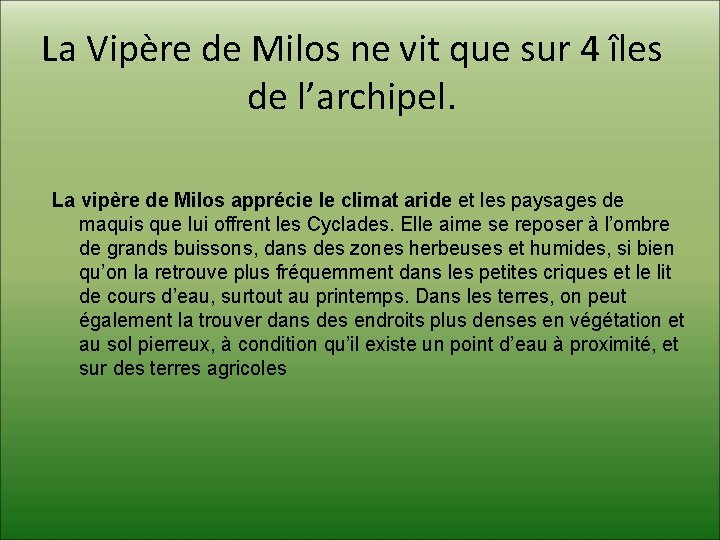 La Vipère de Milos ne vit que sur 4 îles de l’archipel. La vipère