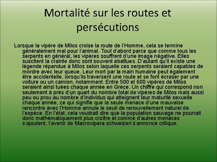 Mortalité sur les routes et persécutions Lorsque la vipère de Milos croise la route