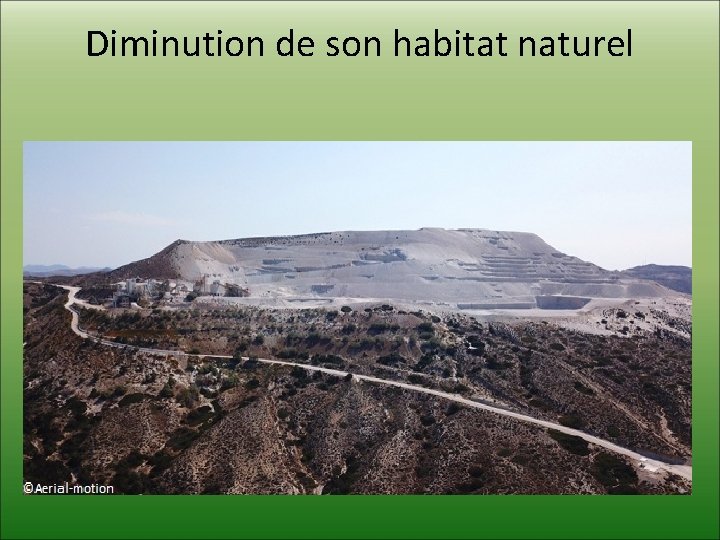 Diminution de son habitat naturel 