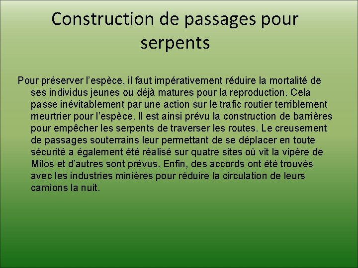 Construction de passages pour serpents Pour préserver l’espèce, il faut impérativement réduire la mortalité