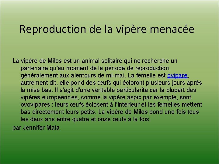 Reproduction de la vipère menacée La vipère de Milos est un animal solitaire qui