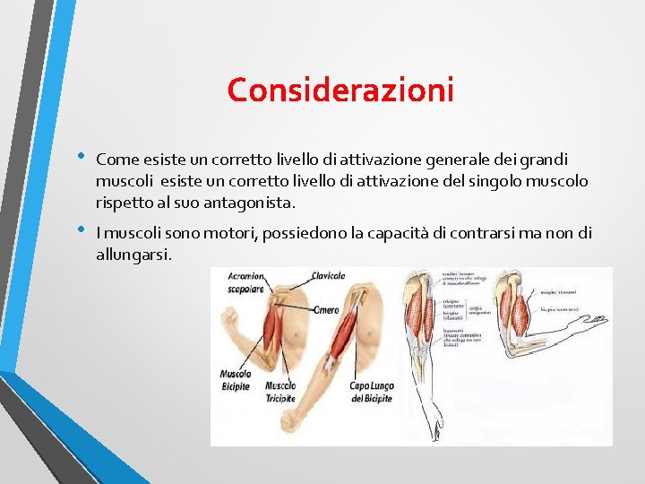 Considerazioni • Come esiste un corretto livello di attivazione generale dei grandi muscoli esiste