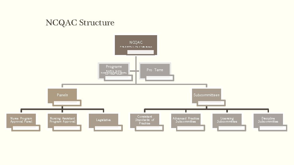 NCQAC Structure NCQAC 7 RNs, 2 ARNPs, 3 LPNs, 3 Public Members Programs Operations,