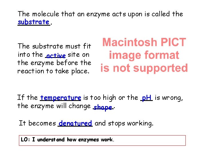 The molecule that an enzyme acts upon is called the substrate. The substrate must