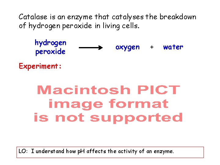 Catalase is an enzyme that catalyses the breakdown of hydrogen peroxide in living cells.
