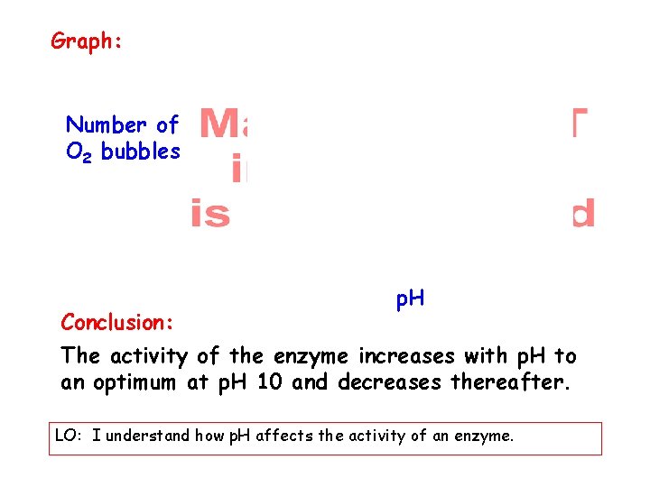 Graph: Number of O 2 bubbles Conclusion: p. H The activity of the enzyme