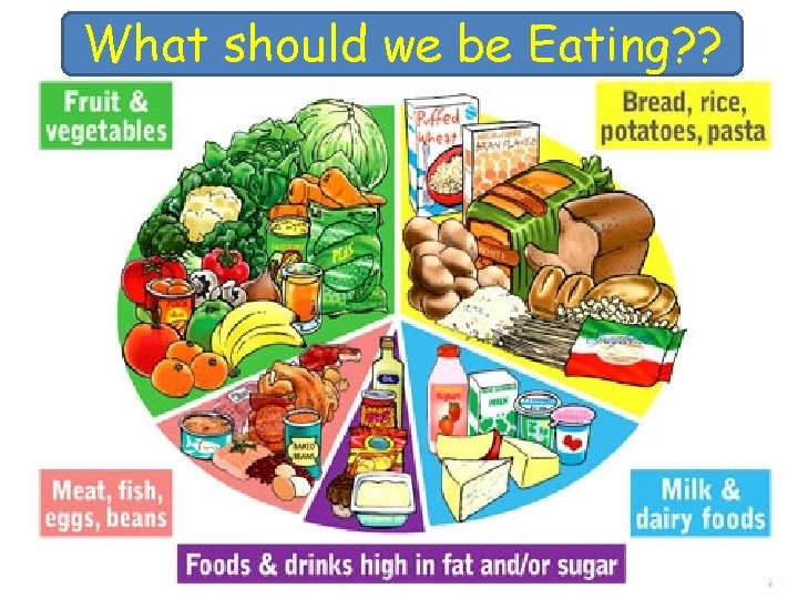 What should we be Eating? ? 