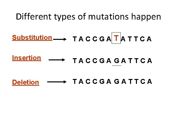 Different types of mutations happen Substitution TATTCA TACCGAG Insertion TACCGA G T ATTCA Deletion
