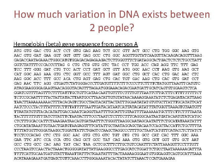 How much variation in DNA exists between 2 people? Hemoglobin (beta) gene sequence from