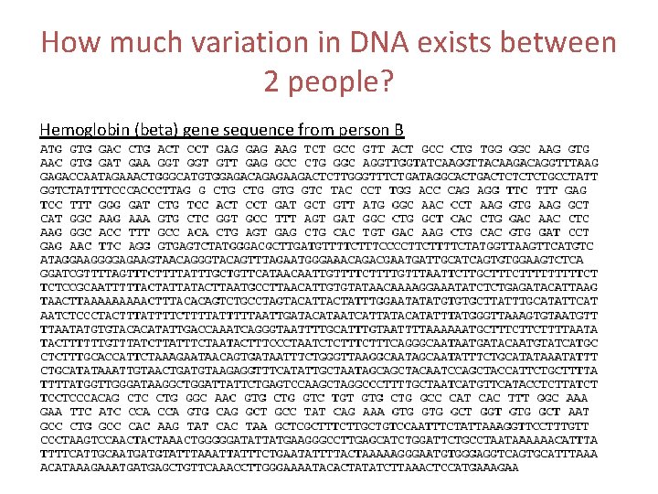 How much variation in DNA exists between 2 people? Hemoglobin (beta) gene sequence from