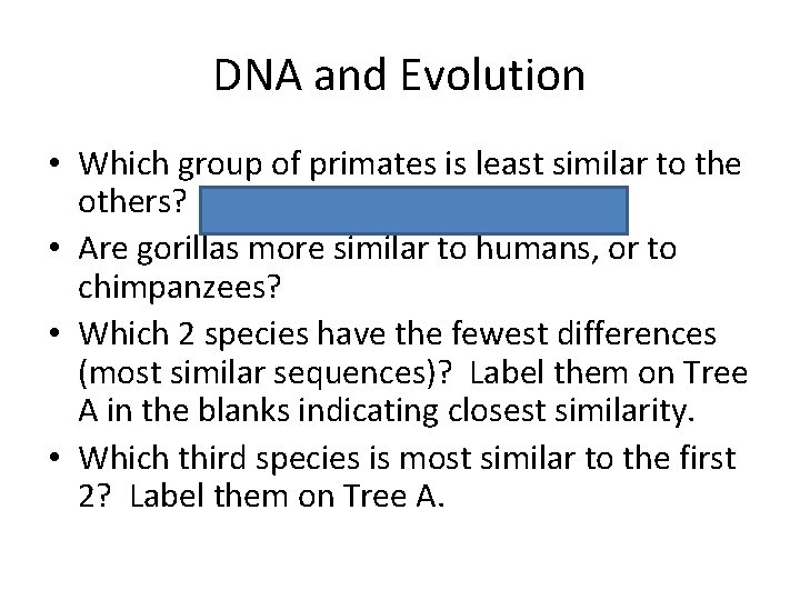 DNA and Evolution • Which group of primates is least similar to the others?
