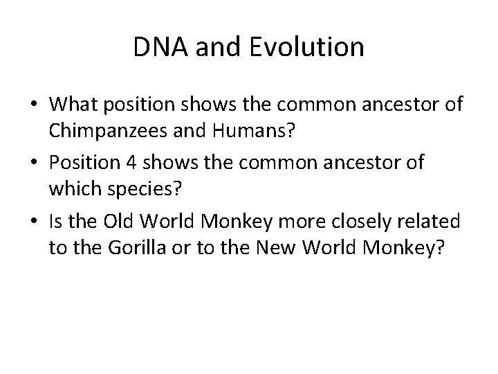 DNA and Evolution • What position shows the common ancestor of Chimpanzees and Humans?