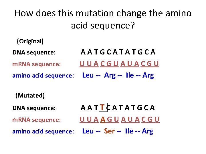 How does this mutation change the amino acid sequence? (Original) AATGCATATGCA m. RNA sequence: