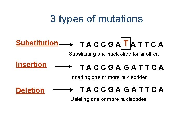3 types of mutations Substitution TATTCA TACCGAG Substituting one nucleotide for another. Insertion TACCGA