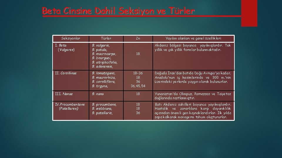 Beta Cinsine Dahil Seksiyon ve Türler Seksiyonlar Türler I. Beta (Vulgares) B. vulgaris, B.