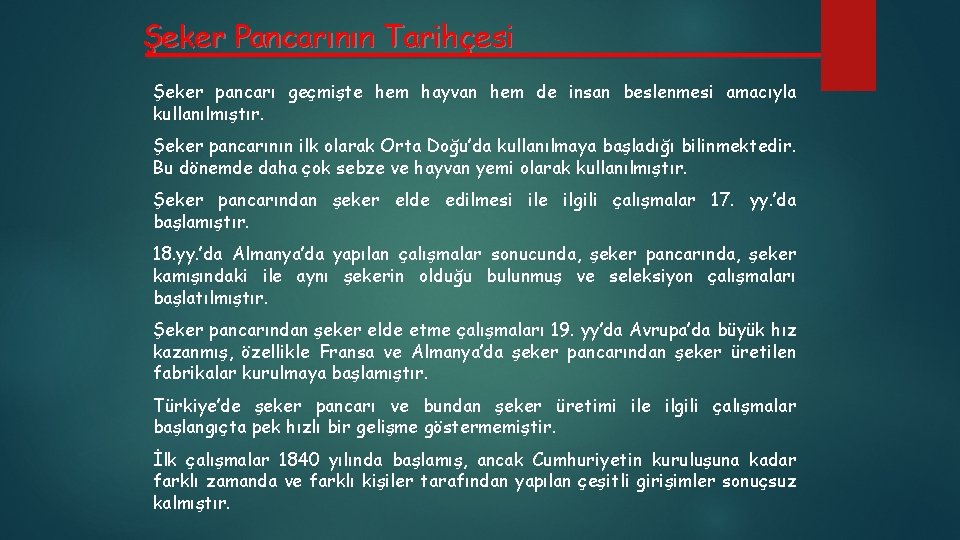 Şeker Pancarının Tarihçesi Şeker pancarı geçmişte hem hayvan hem de insan beslenmesi amacıyla kullanılmıştır.