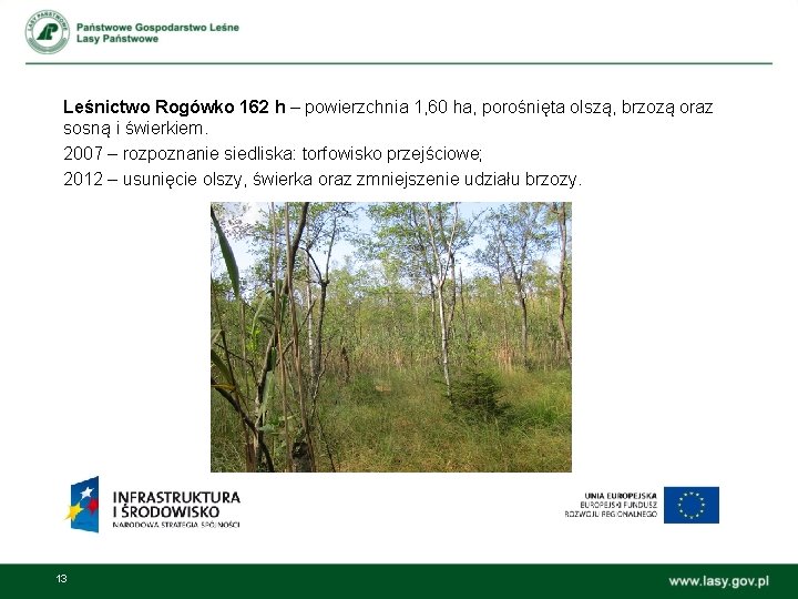 Leśnictwo Rogówko 162 h – powierzchnia 1, 60 ha, porośnięta olszą, brzozą oraz sosną
