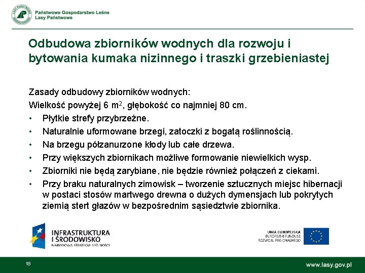 Odbudowa zbiorników wodnych dla rozwoju i bytowania kumaka nizinnego i traszki grzebieniastej Zasady odbudowy