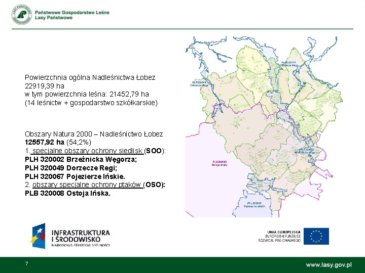 Powierzchnia ogólna Nadleśnictwa Łobez 22919, 39 ha w tym powierzchnia leśna: 21452, 79 ha