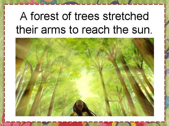A forest of trees stretched their arms to reach the sun. 