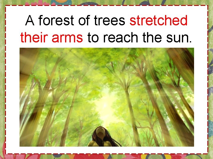 A forest of trees stretched their arms to reach the sun. 