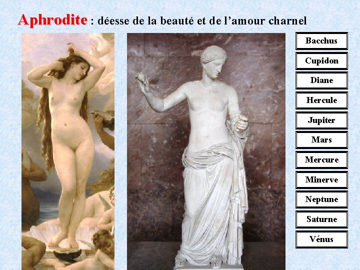 Aphrodite : déesse de la beauté et de l’amour charnel Bacchus Cupidon Diane Hercule