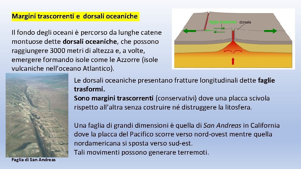 Margini trascorrenti e dorsali oceaniche Il fondo degli oceani è percorso da lunghe catene