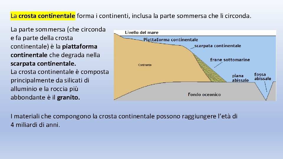 La crosta continentale forma i continenti, inclusa la parte sommersa che li circonda. La