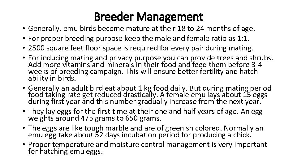 • • Breeder Management Generally, emu birds become mature at their 18 to
