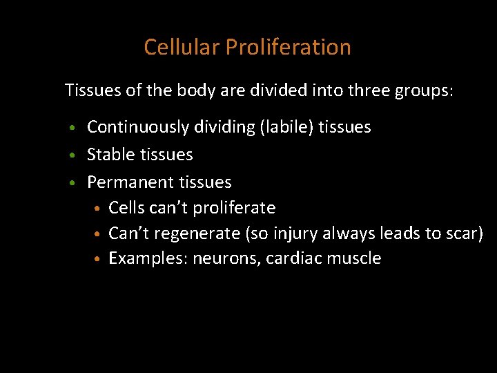 Cellular Proliferation Tissues of the body are divided into three groups: Continuously dividing (labile)