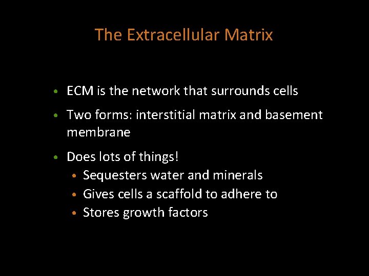 The Extracellular Matrix • ECM is the network that surrounds cells • Two forms: