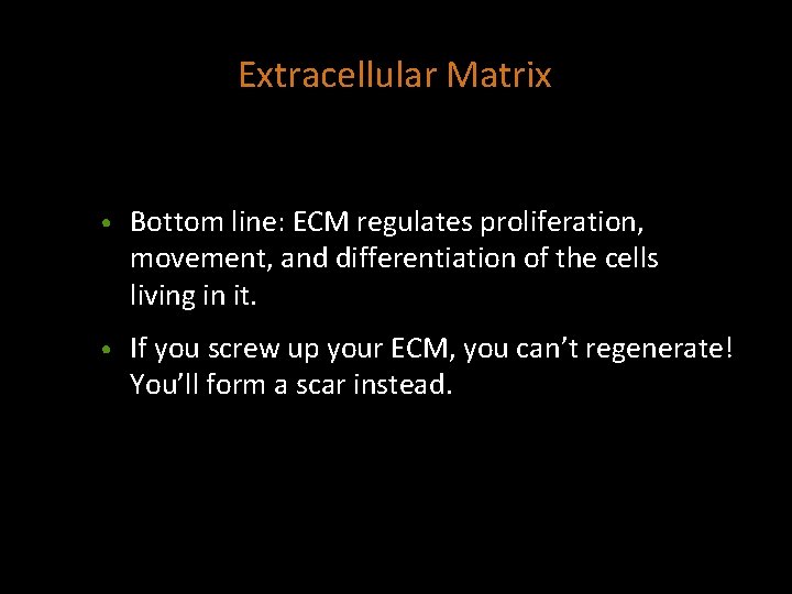 Extracellular Matrix • Bottom line: ECM regulates proliferation, movement, and differentiation of the cells