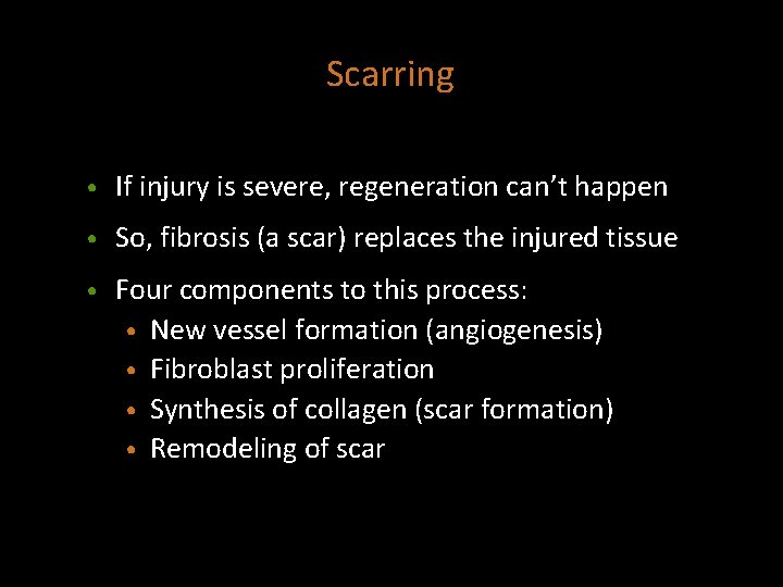 Scarring • If injury is severe, regeneration can’t happen • So, fibrosis (a scar)