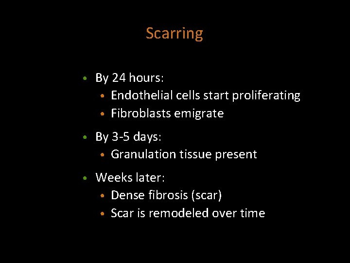 Scarring • By 24 hours: • Endothelial cells start proliferating • Fibroblasts emigrate •