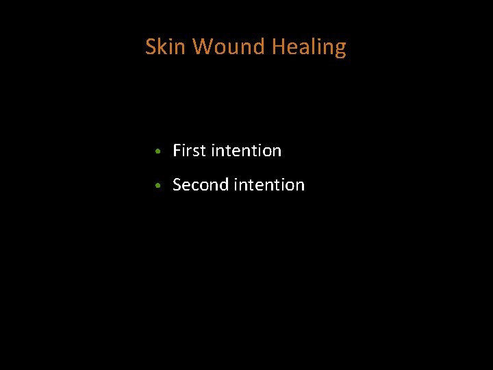 Skin Wound Healing • First intention • Second intention 