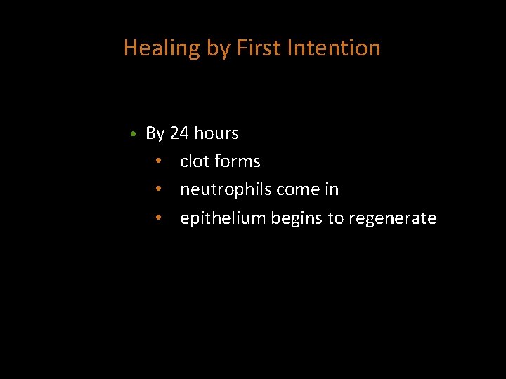Healing by First Intention • By 24 hours • clot forms • neutrophils come