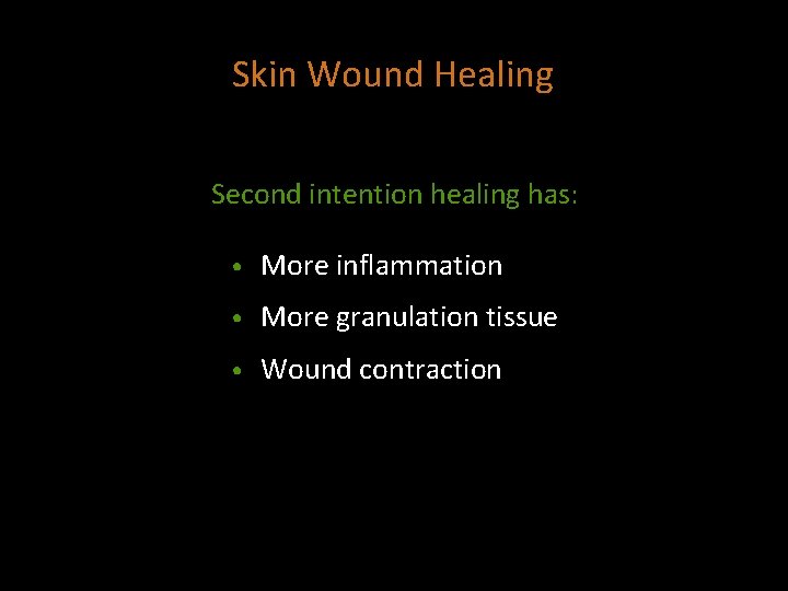 Skin Wound Healing Second intention healing has: • More inflammation • More granulation tissue