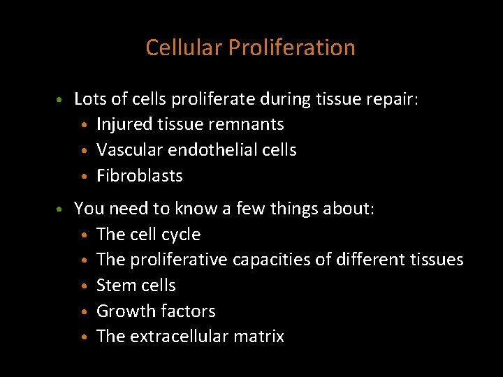 Cellular Proliferation • Lots of cells proliferate during tissue repair: • Injured tissue remnants