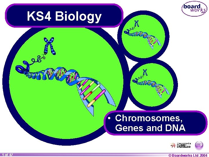 KS 4 Biology • Chromosomes, Genes and DNA 1 of 47 © Boardworks Ltd