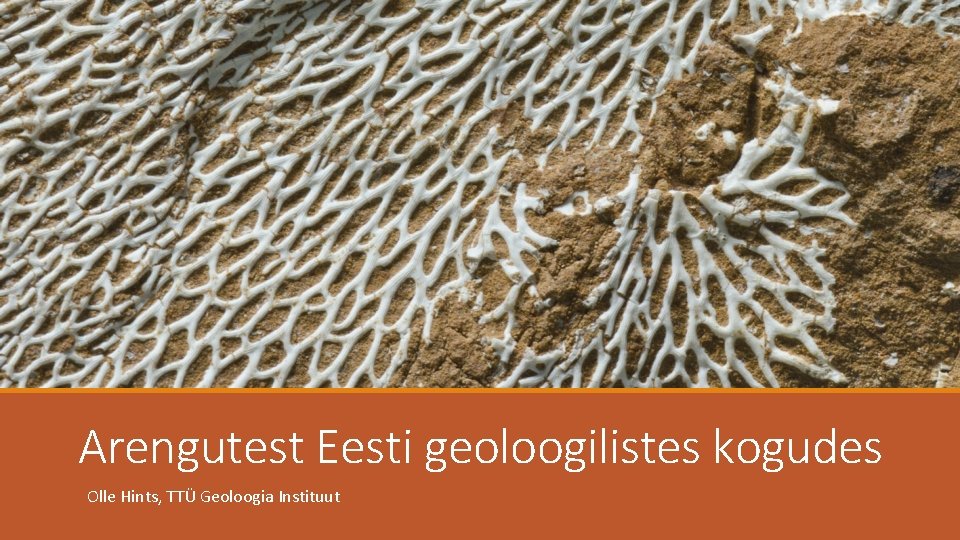 Arengutest Eesti geoloogilistes kogudes Olle Hints, TTÜ Geoloogia Instituut 