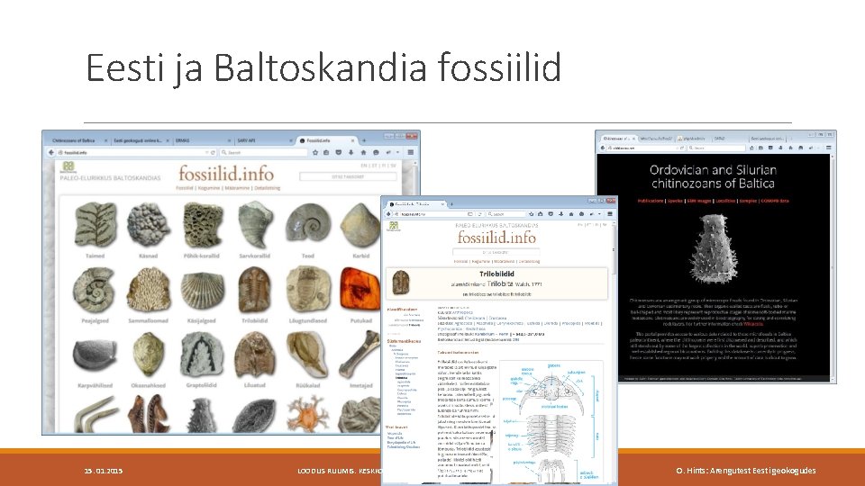 Eesti ja Baltoskandia fossiilid 15. 01. 2015 LOODUS RUUMIS. KESKKONNAHARIDUSE VÕIMALUSED NÄITUSESAALIS JA VEEBIS.