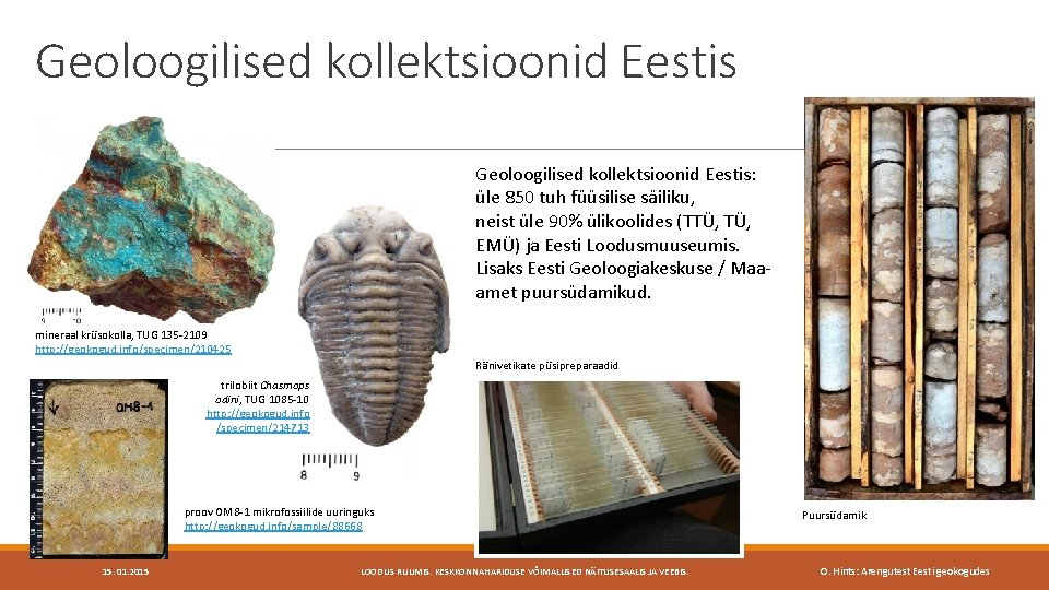 Geoloogilised kollektsioonid Eestis: üle 850 tuh füüsilise säiliku, neist üle 90% ülikoolides (TTÜ, EMÜ)