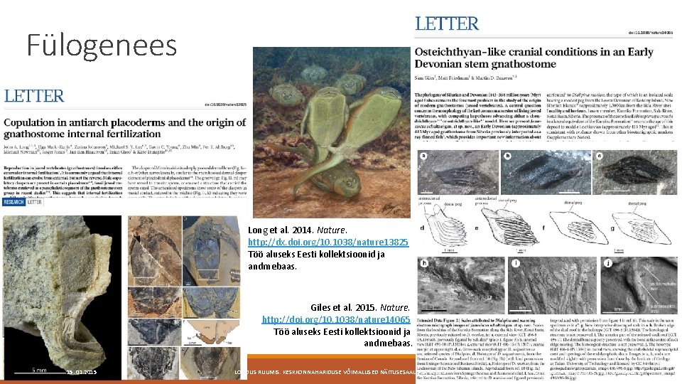 Fülogenees Long et al. 2014. Nature. http: //dx. doi. org/10. 1038/nature 13825 Töö aluseks